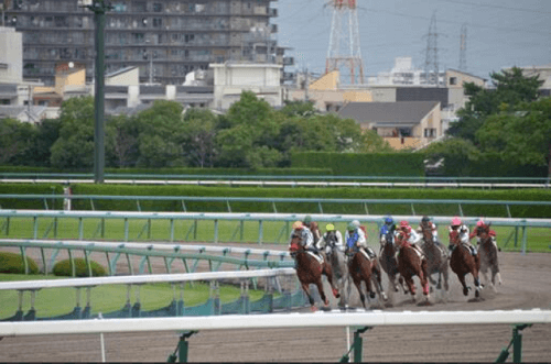 競馬